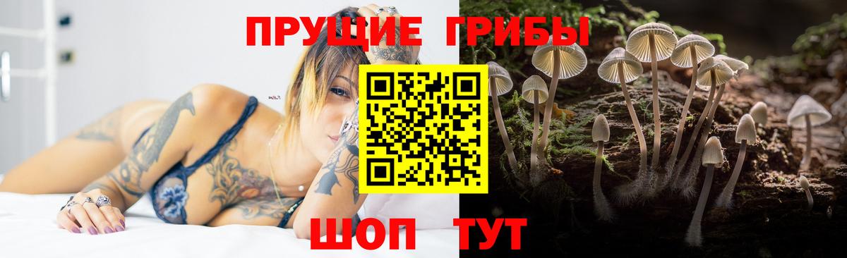 Галлюциногенные грибы GOLDEN TEACHER Обнинск