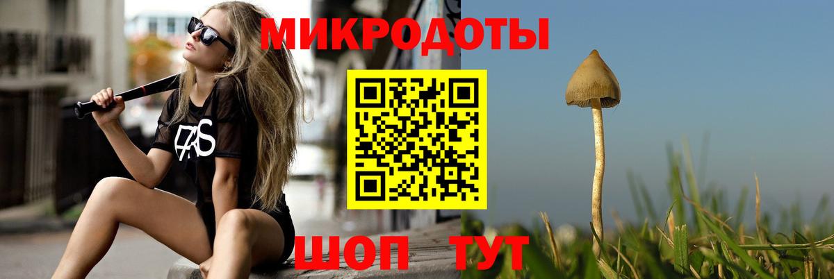 Галлюциногенные грибы Psilocybe  Галлюциногенные грибы Psilocybine cubensis  Вход с VPN  Обнинск 
